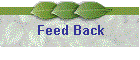 Feed Back