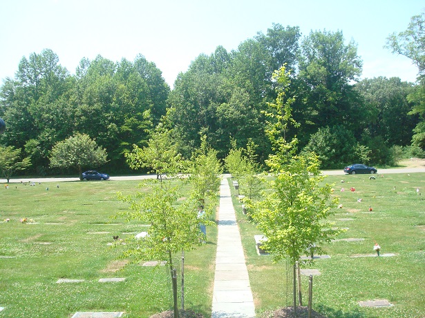 View from the upper level