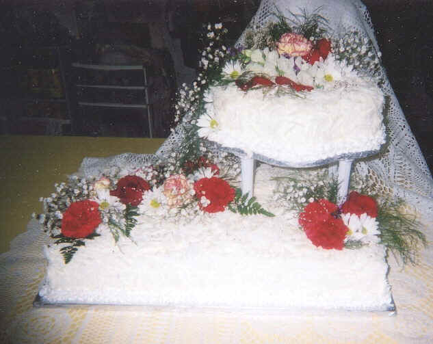 cake1.jpg (65352 bytes)