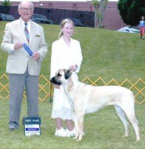 Kara showing off! Handled by Kathryn