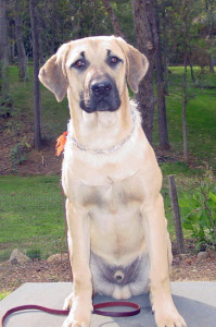 8 month Safi Ruh at Graduation