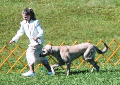 Struttin their stuff