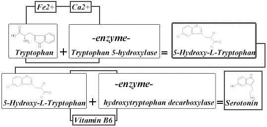 Depression could be caused by a lack of iron, tryptophan, calcium or vitamin b6 in our diets.  Bipolar disorder is be closely related to depression.