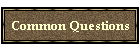 Common Questions