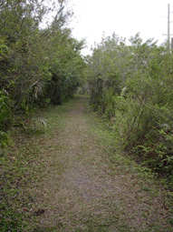 North Wetland Wander Trail