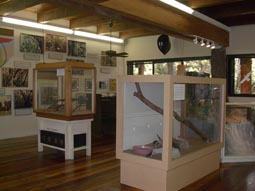 Exhibit Room