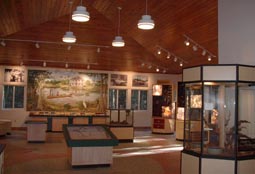 Inside Nature Center