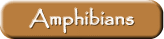Amphibians