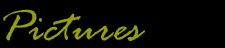 Pictures