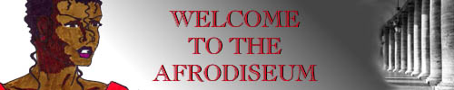 Large Afrodiseum Banner