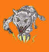 aws_wolf_orange.jpg (41703 bytes)