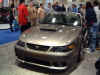 saleen mustang