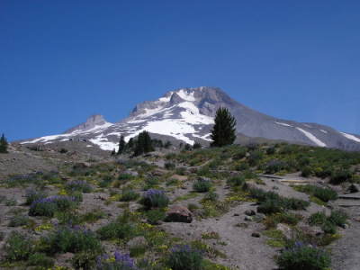 Mt Hood