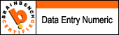 Data Entry Numeric