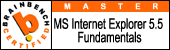 IE 5.5 Fundamentals