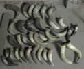 Horns come in a wide variety of sizes, shapes and colours