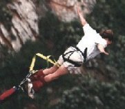 bungi2.jpg (8042 bytes)