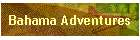 Bahama Adventures