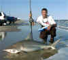 5ft6in Blacktip Jan 4 2002.jpg (25489 bytes)