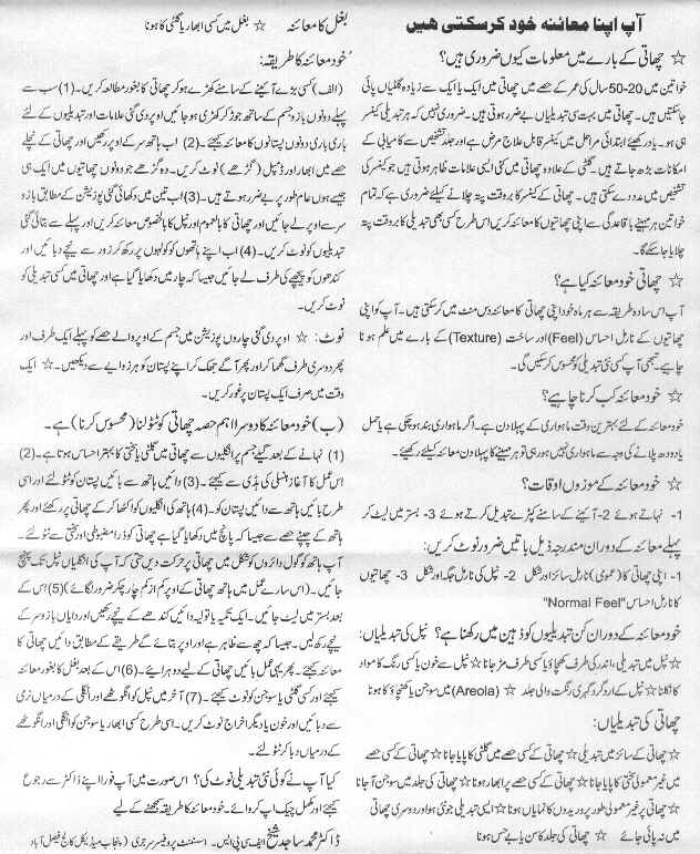 br1.JPG (288403 bytes)