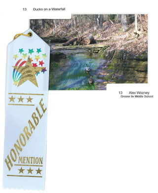 Ducks on a Waterfall