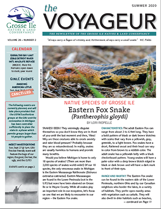 Summer 2020 Newsletter