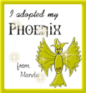 Sparkle Phoenix Certificate
