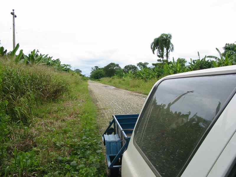 Camino empedrado en Plantaciones de Banana  chapare_06.jpg