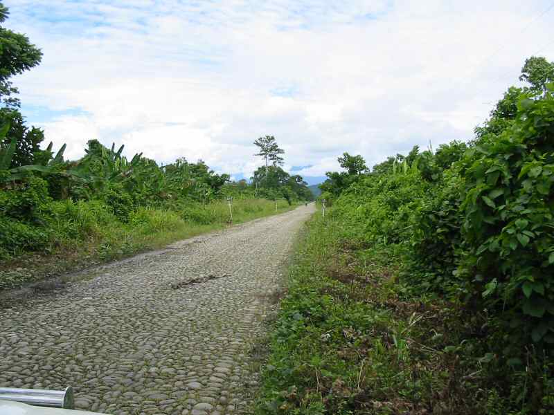 Camino empedrado en Plantaciones de Banana  chapare_07.jpg
