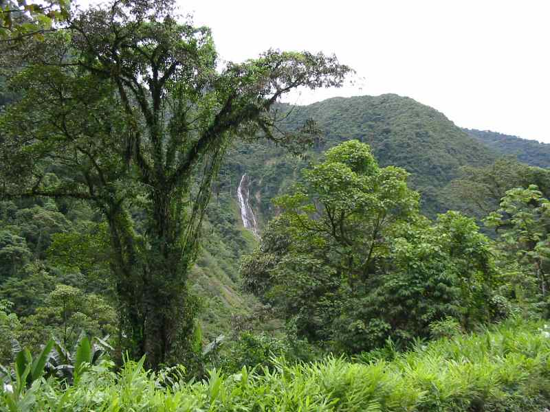 El sillar 2000 metros snm  chapare_09.jpg