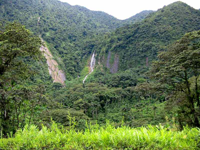 El sillar 2000 metros snm  chapare_11.jpg