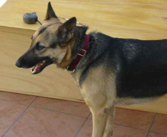 La Yaki  chapare_12.jpg