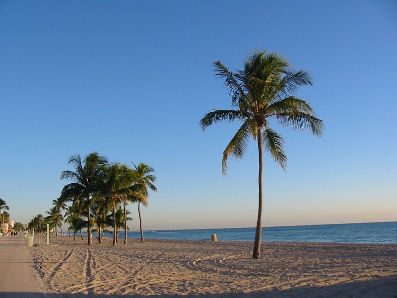 Hollywood Beach (FL)