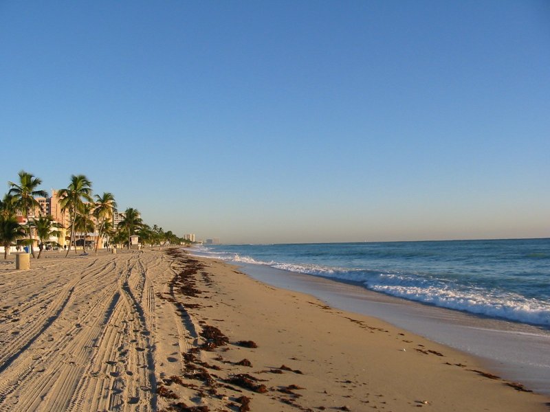Hollywood Beach (FL)