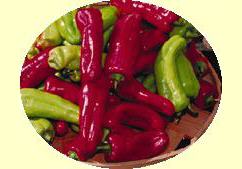 Cubanelle peppers
