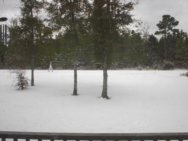 Scene from one of the 2003 snowstorms.