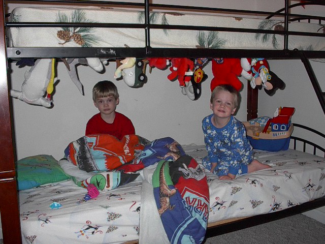 Perhaps they have a future in interior decoration