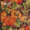 Fall 23