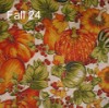 Fall 24
