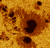 image of an angle of sunspots