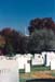arlingtoncemetary