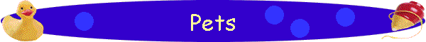 Pets