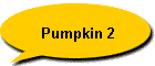 Pumpkin 2