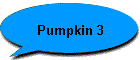 Pumpkin 3