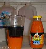 Bear's Awesome Photos