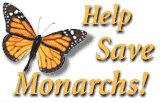 Mexico protects the monarch wintering forest!  Click here for a full report.