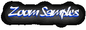 Zoom samples