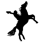 image icon cowboy rearing horse