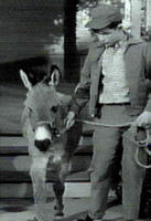 image Pepe and Jerry Mathers