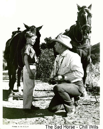 The Sad Horse-North Wind